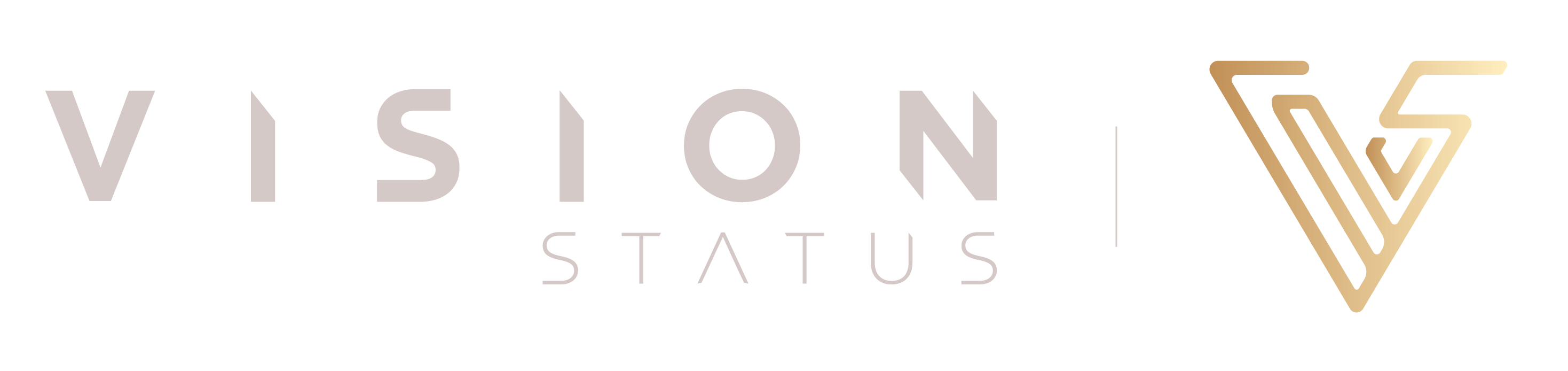 Vision Status